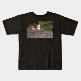 Pink and red flamingo Kids T-Shirt